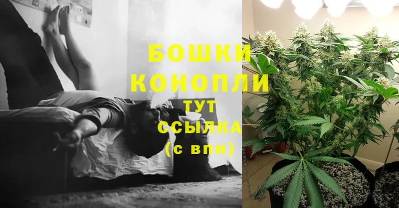 купить   Владикавказ  Шишки марихуана THC 21% 